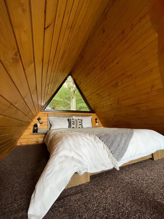 Casutele De Sub Padure Hotell Avrig Eksteriør bilde