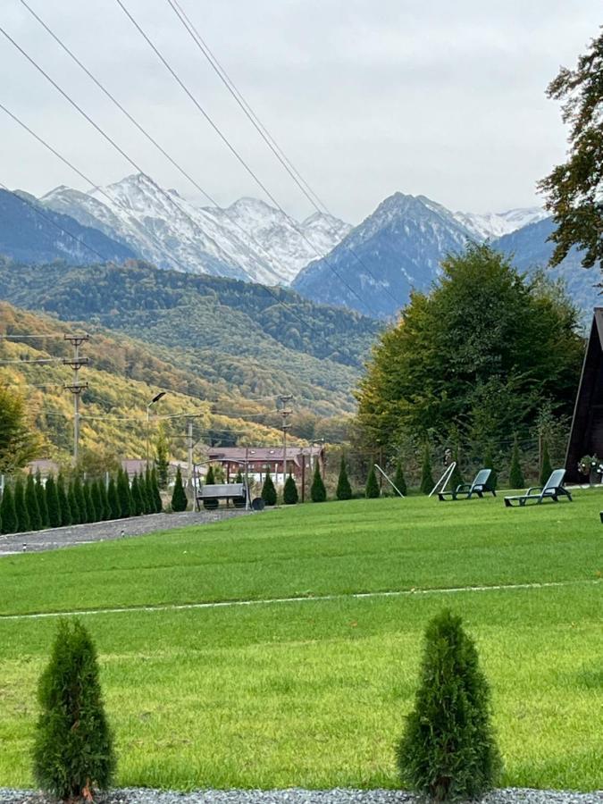 Casutele De Sub Padure Hotell Avrig Eksteriør bilde